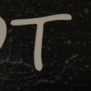 Meet your Posher, Tara